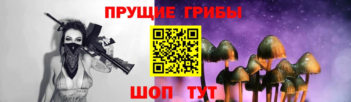 Псилоцибиновые грибы GOLDEN TEACHER Ставрополь